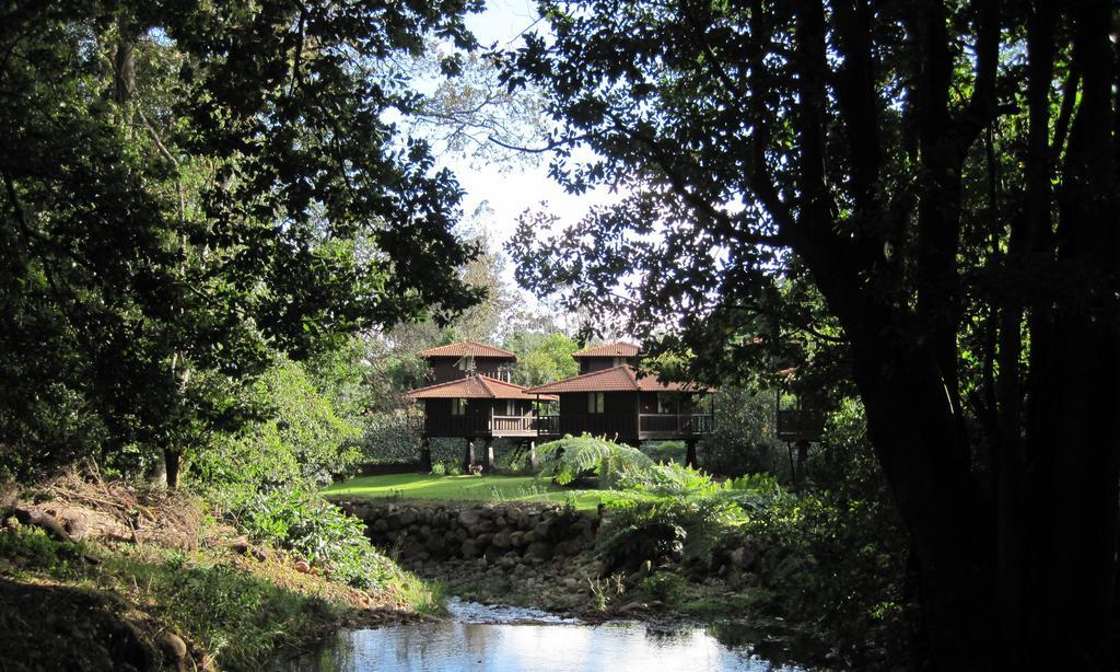 Quinta Das Eiras Ξενοδοχείο Santo Antonio da Serra Εξωτερικό φωτογραφία