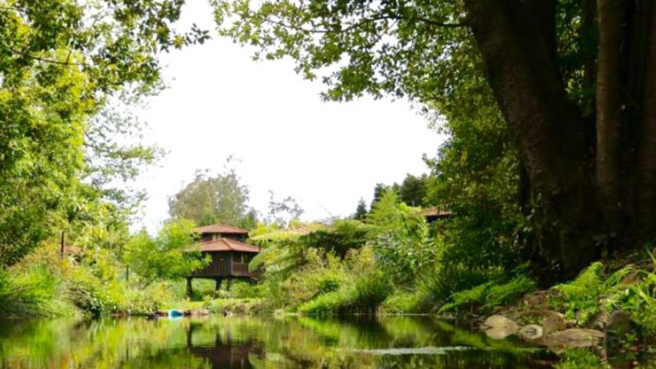 Quinta Das Eiras Ξενοδοχείο Santo Antonio da Serra Εξωτερικό φωτογραφία