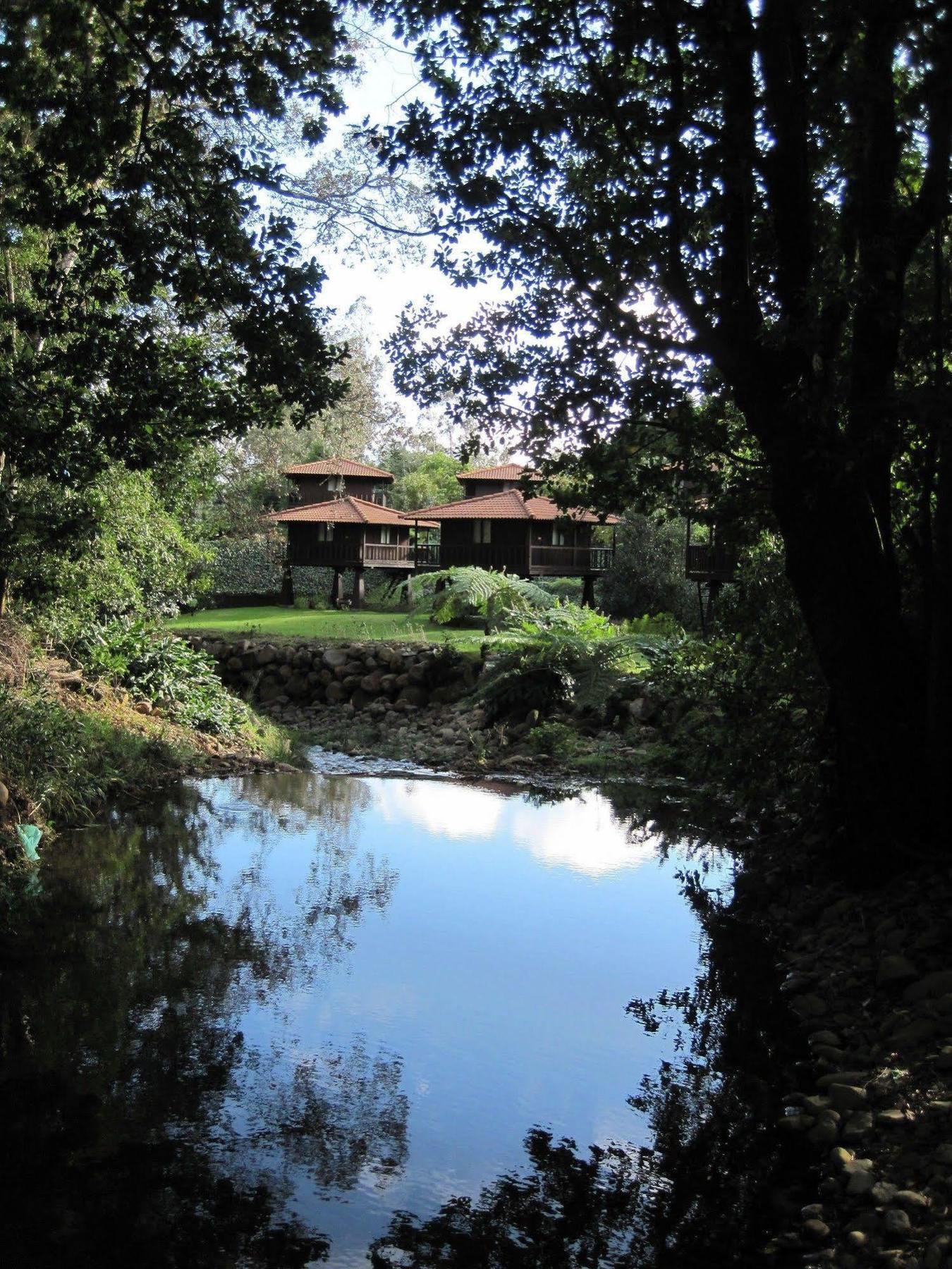 Quinta Das Eiras Ξενοδοχείο Santo Antonio da Serra Εξωτερικό φωτογραφία