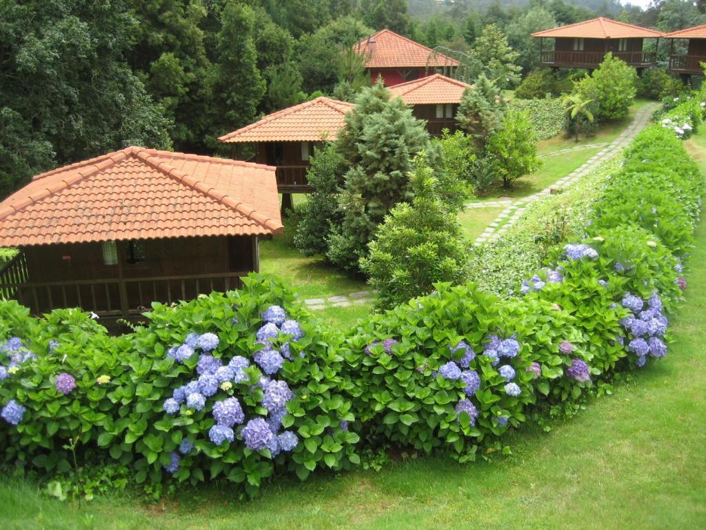 Quinta Das Eiras Ξενοδοχείο Santo Antonio da Serra Εξωτερικό φωτογραφία